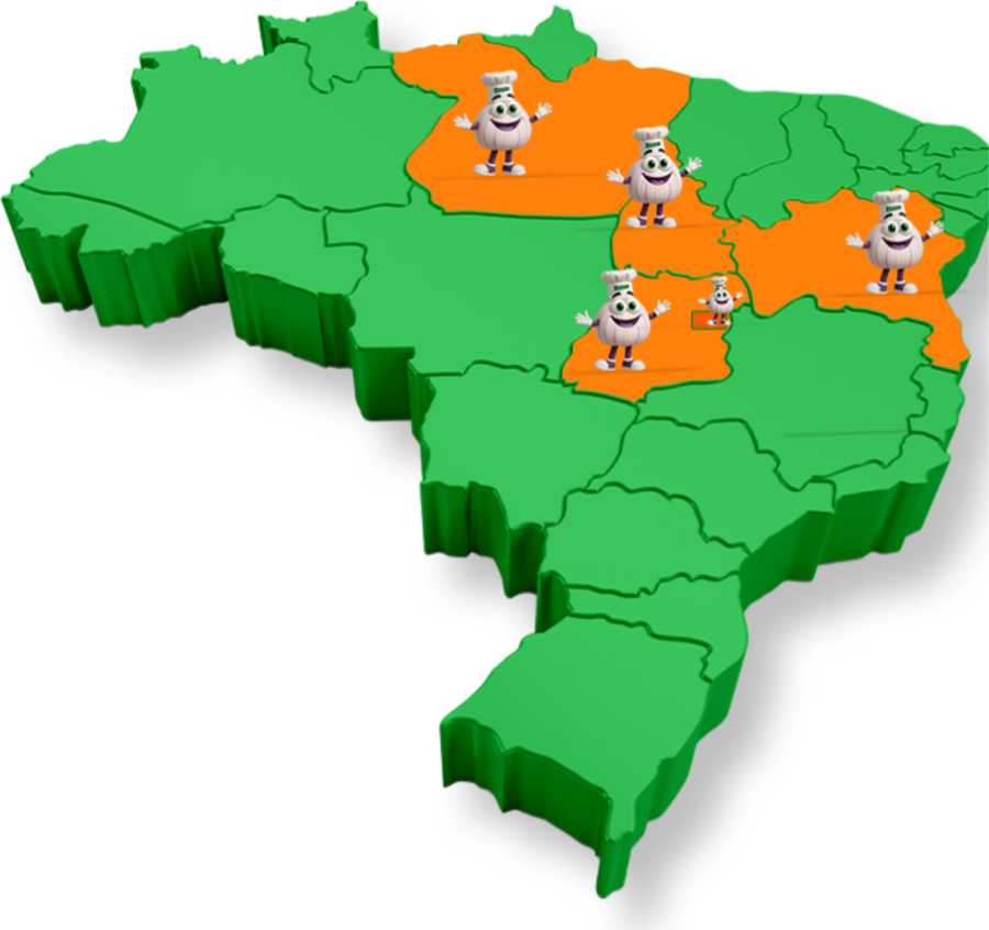 Mapa do Brasil com Tocantins, Pará, Maranhão, Piauí e Goiás/DF destacados